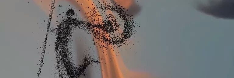 Roboti_D's profile banner image
