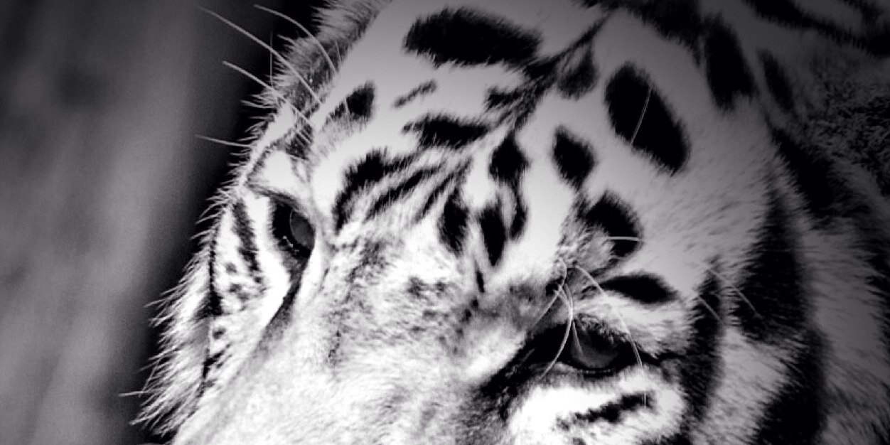 desdelabutaca's profile banner image