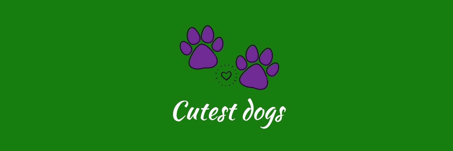 cutedogsww's profile banner image