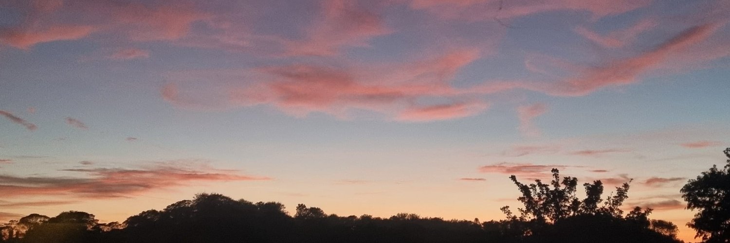 WendyCollinson's profile banner image