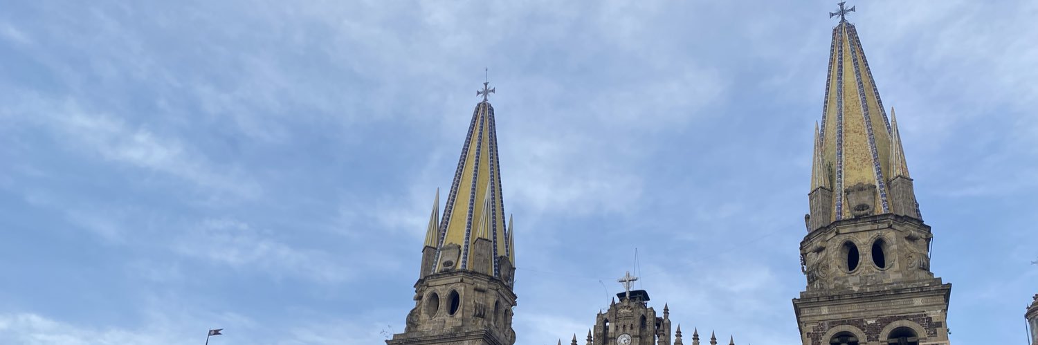 Anthony Davis banner