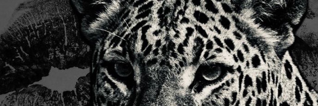 itxbelly_'s profile banner image