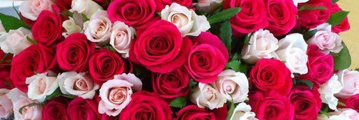 medoo4837's profile banner image