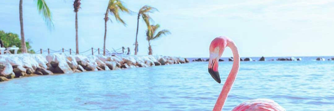 FerDrucker's profile banner image