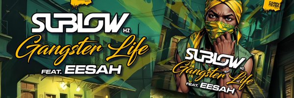 SubLowHz Profile Banner