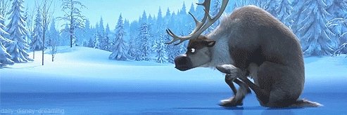 Calvin Qi's banner