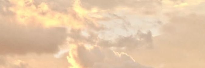 alec ˎˊ˗ banner