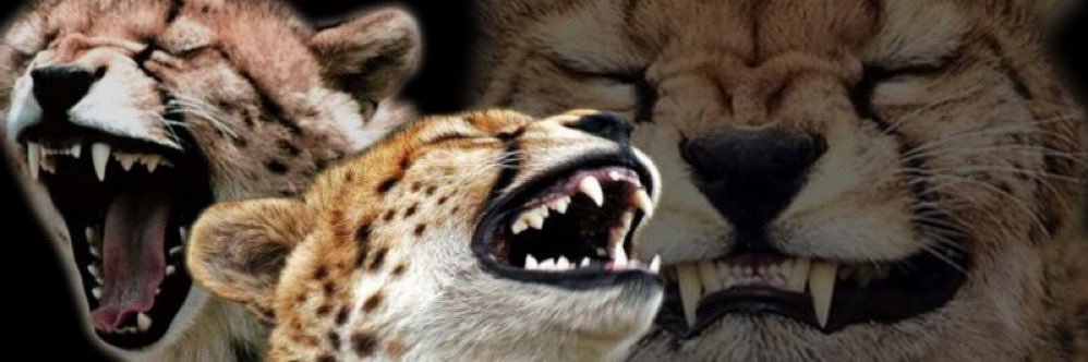 L4W____'s profile banner image