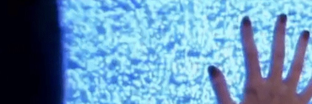 Virginia Stonek's banner