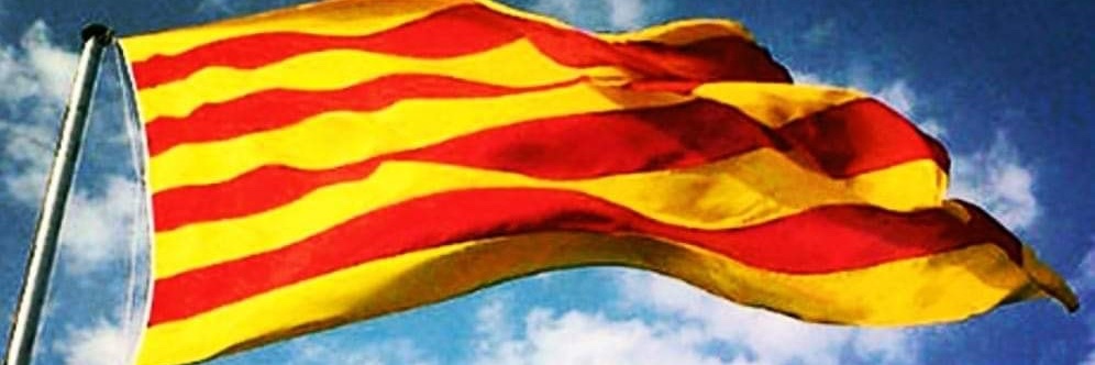 Carles Font Vilà banner