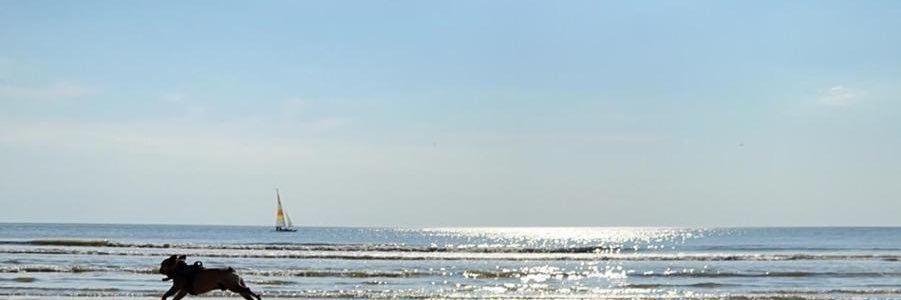 المرحوم باذن الله محمد جاسم الكندري banner