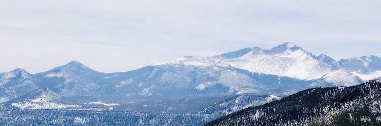 CadenScheibel's profile banner image