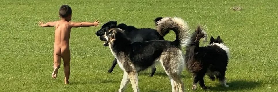 随机抓你牛牛🥛 banner