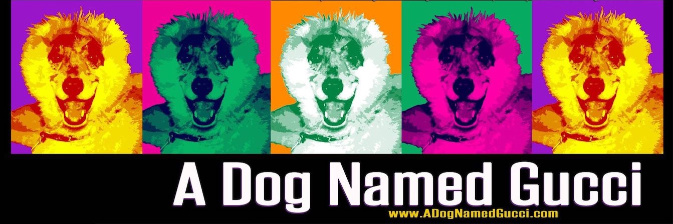 aDOGnamedGUCCI's profile banner image
