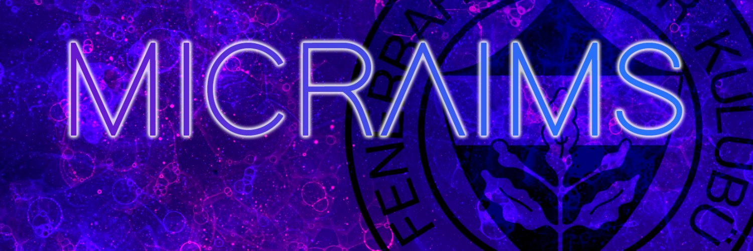 Micraims's profile banner image