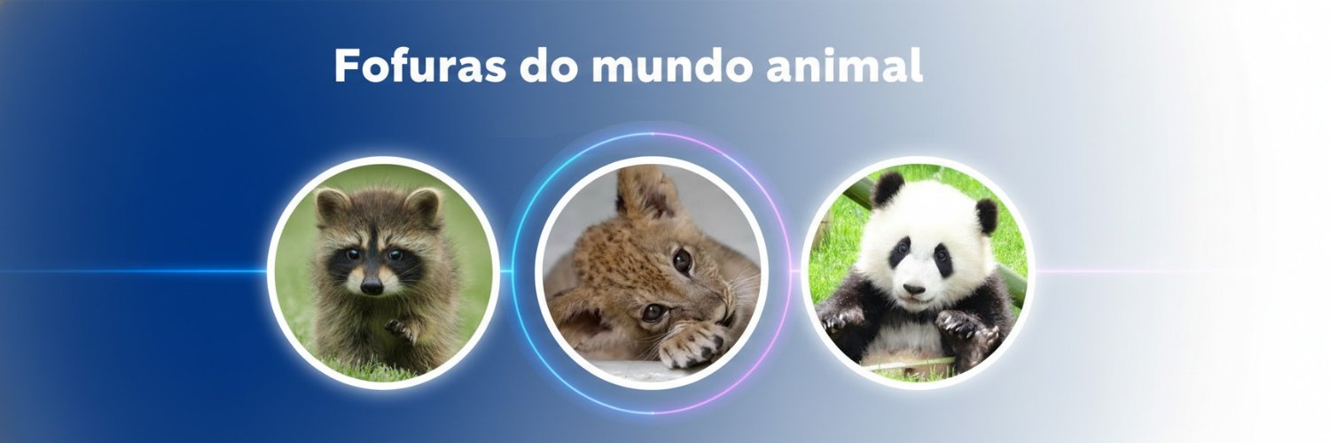 fofurasanimal's profile banner image