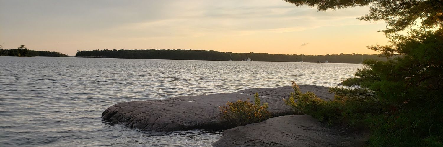 𝓈𝒽𝑒𝓁𝓁𝑒𝓎 𝓈𝓉𝒶𝒸𝑒𝓎 (she/her) banner