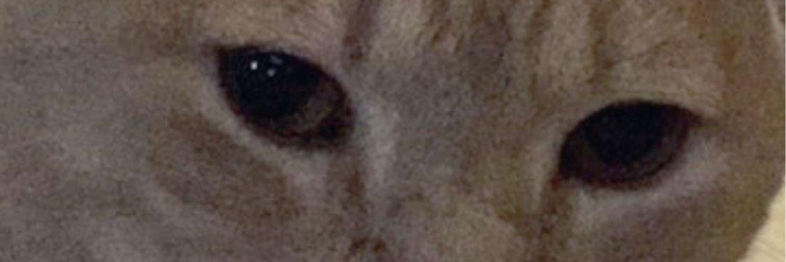 _theconcon's profile banner image