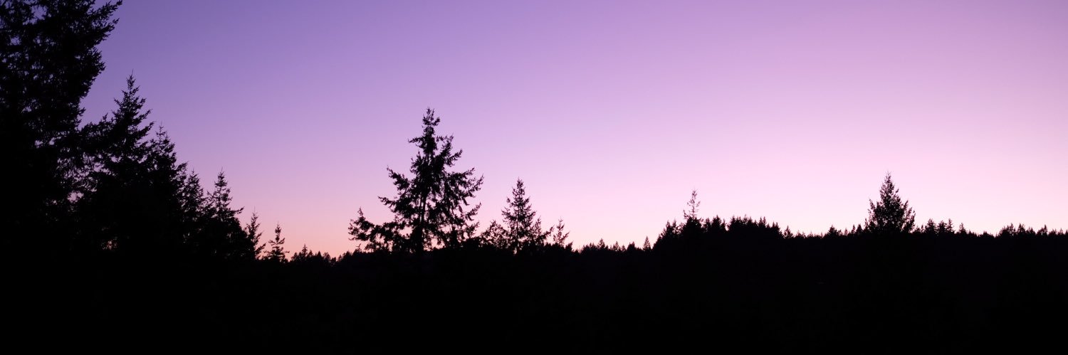 _HLVN_'s profile banner image