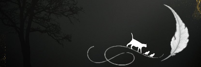 🜛ぎんねこ*❀♥⃜👾💜ྀི❥໒꒱𓈒*🗝❁✘*ﾟ banner