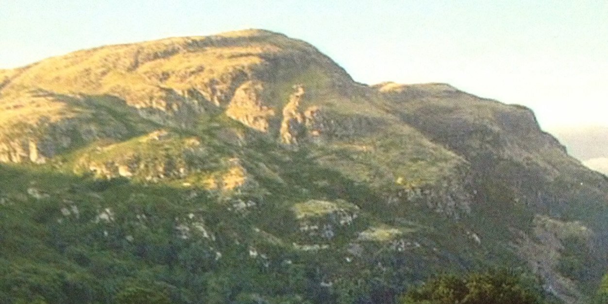 lyburton's profile banner image