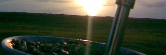 Lorena Brondani banner