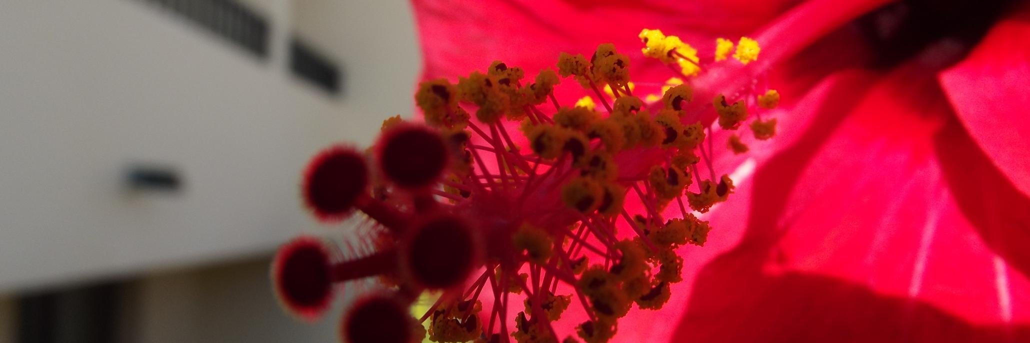 angiegordy's profile banner image