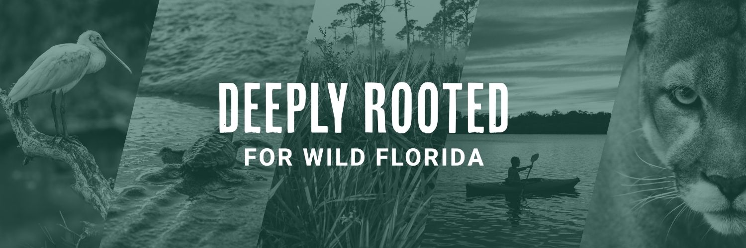 Florida Wildlife Federation banner