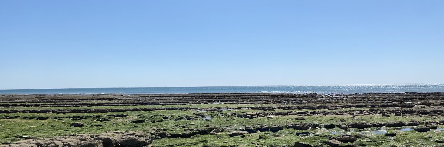 clgrasset's profile banner image