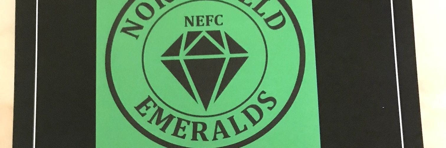 Northfields fc banner