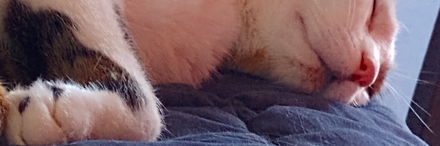 Daniela Paola Rodríguez💚 banner