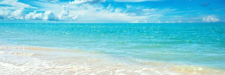 rkafam's profile banner image