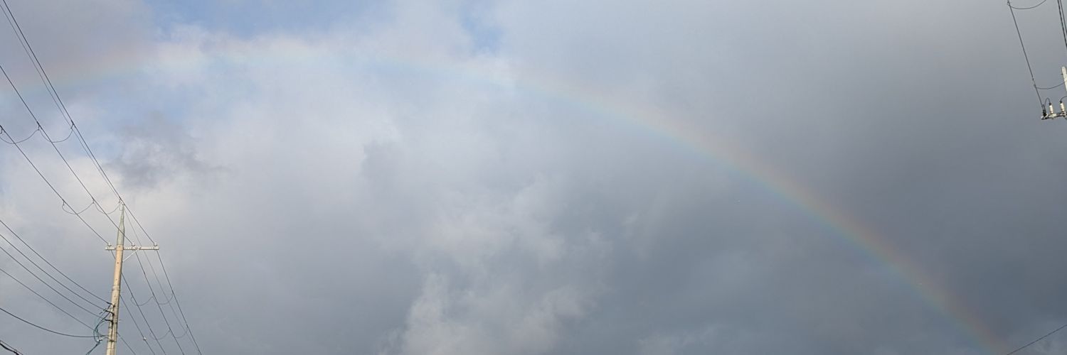 mkarnko's profile banner image