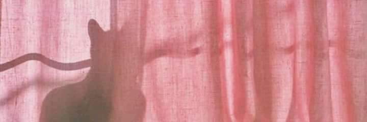 _beyss's profile banner image