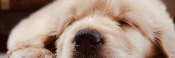 unabashedinter1 Profile Banner