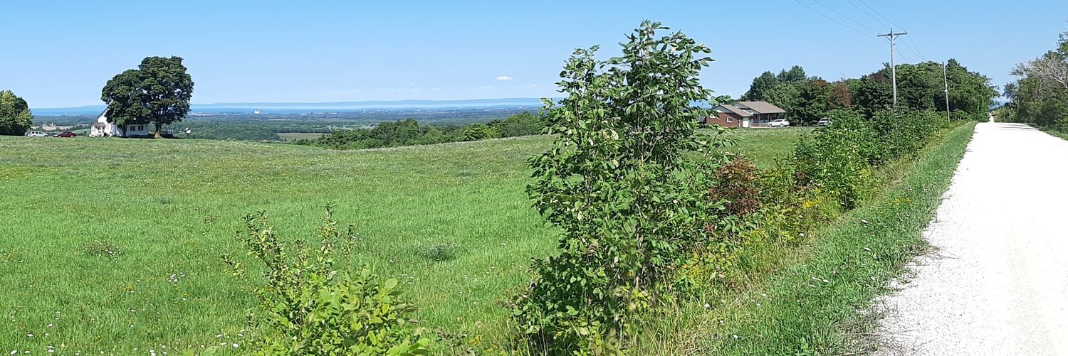 lambiamtweets's profile banner image