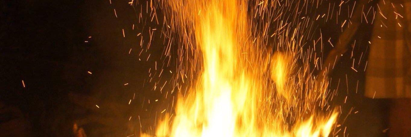 Leonardo Dominguez banner