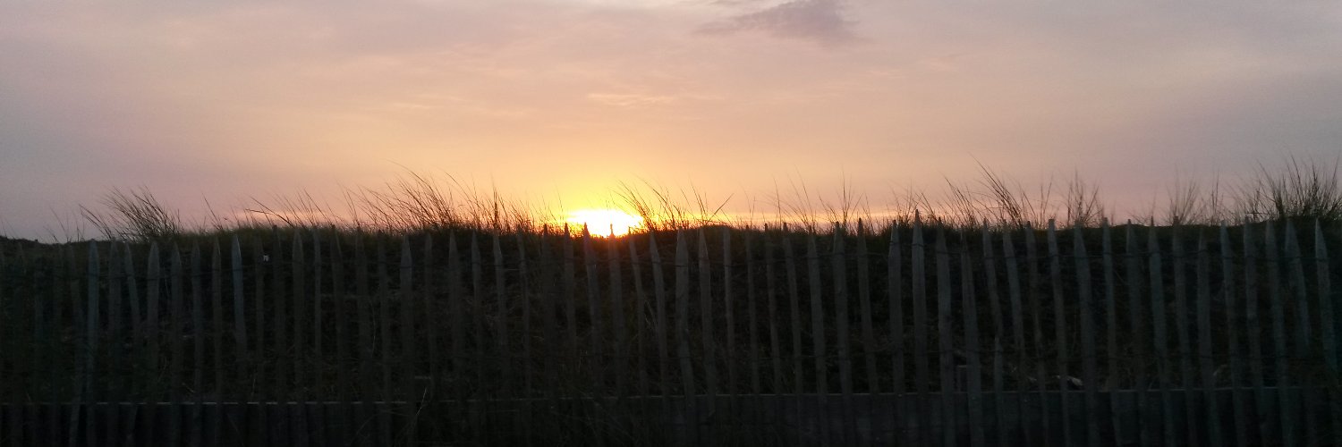 Markus Osmers banner