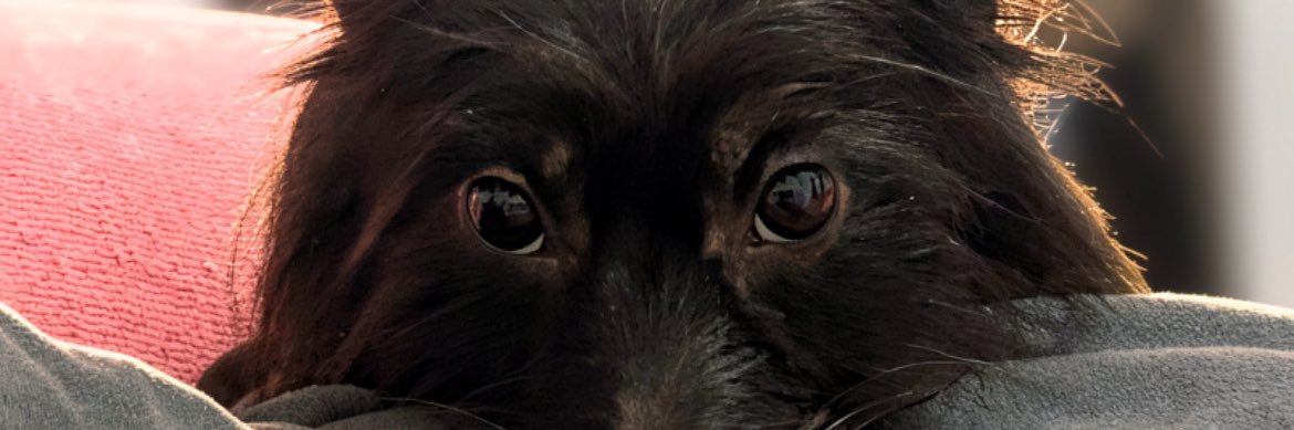 nadyhalla's profile banner image
