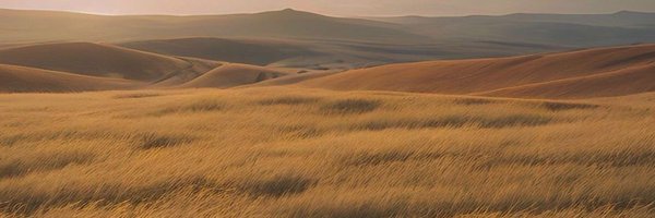 SpacemanAp Profile Banner