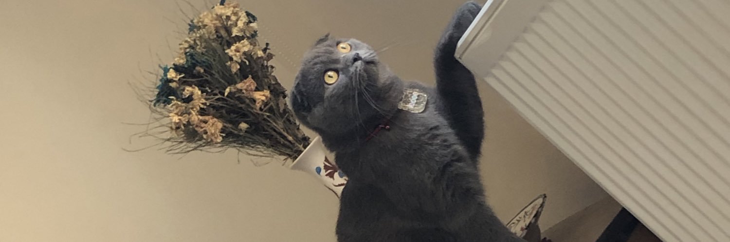 Sevilesicee's profile banner image