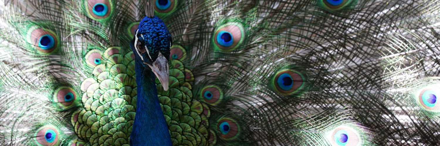 Centros de Conservación de Vida Silvestre CDMX banner