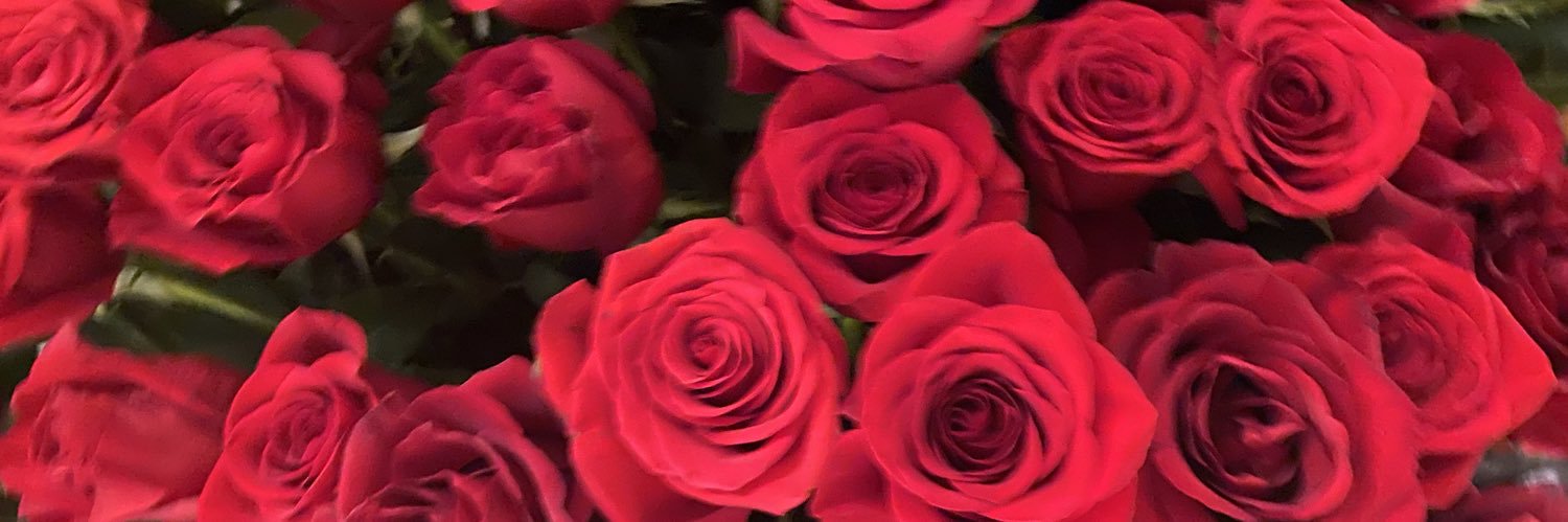 nnnss__'s profile banner image