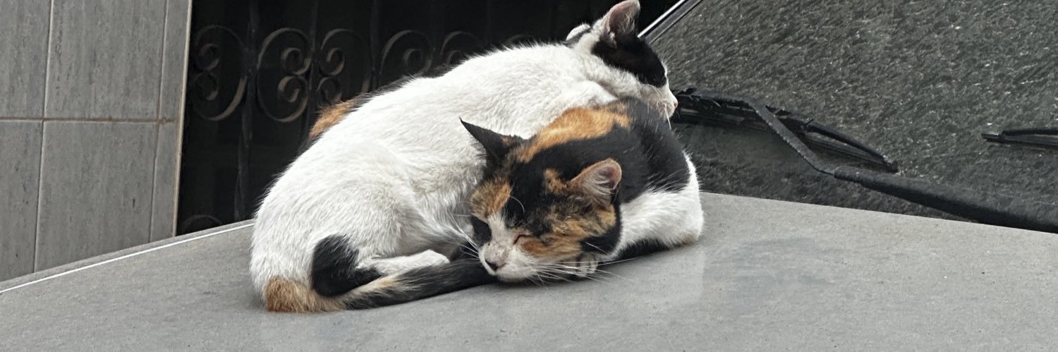 Fexalan 🇲🇦 banner