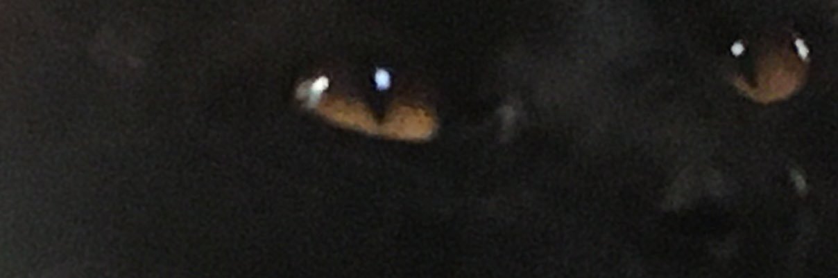 dosed banner