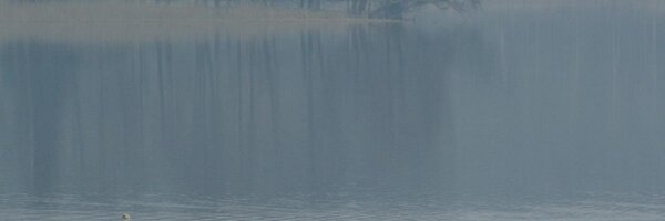 AlteraOla Profile Banner