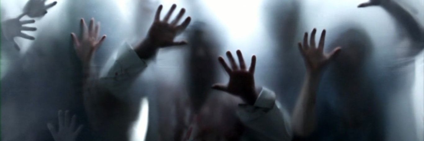 wpontel's profile banner image