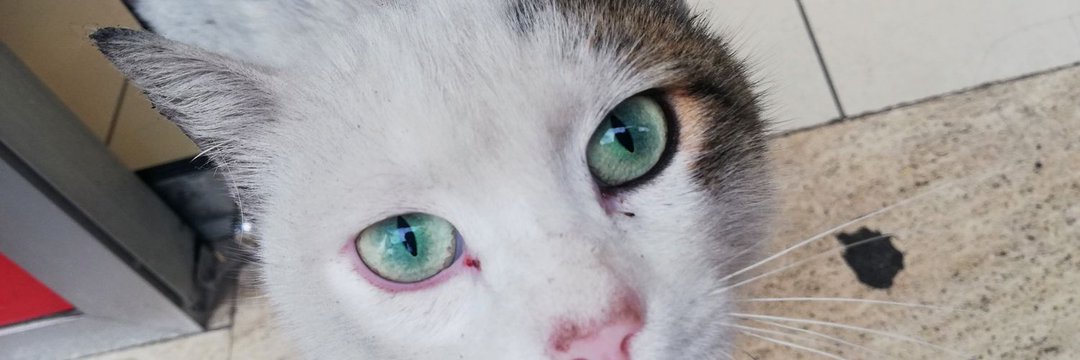 _MERYEMMM__'s profile banner image