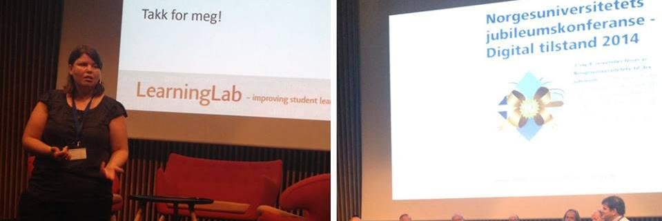 Inger Carin Erikson banner