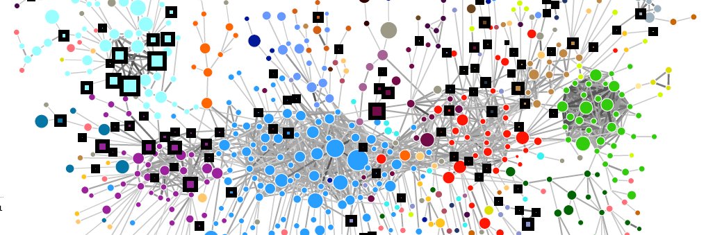 Massimo Conte banner